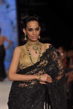 Model walks the ramp for Kays Jewel Show at IIJW Day 3 on 21st Aug 2012 (44).JPG